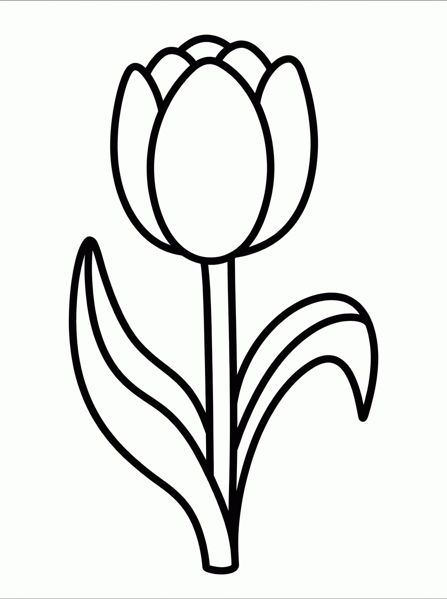 Tulipa para colorir