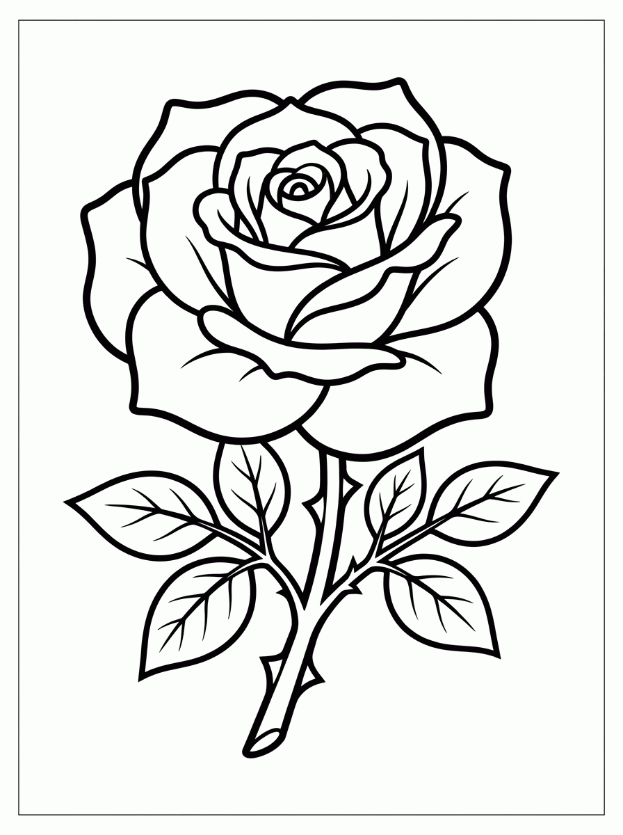 Rosa em Flor para colorir