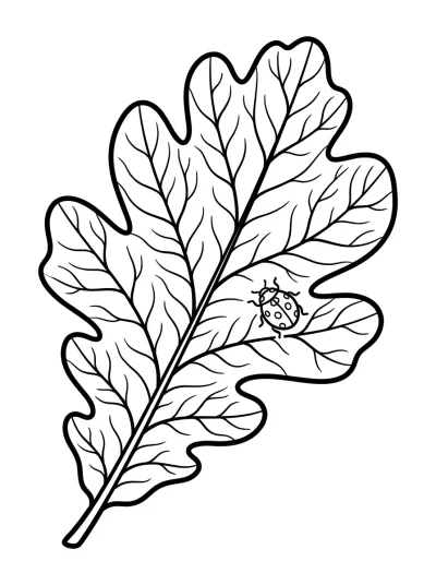 Desenho de Hoja y Mariquita para colorir