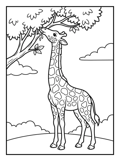 Desenho de Jirafa Comiendo Hojas para colorir