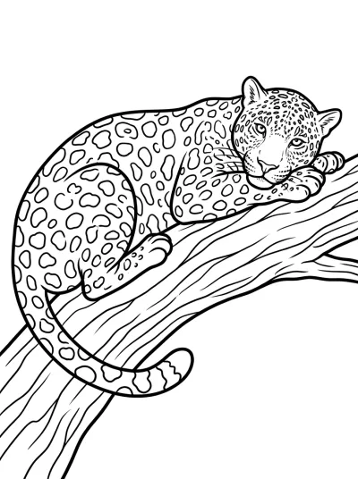 Desenho de Jaguar en la Rama para colorir